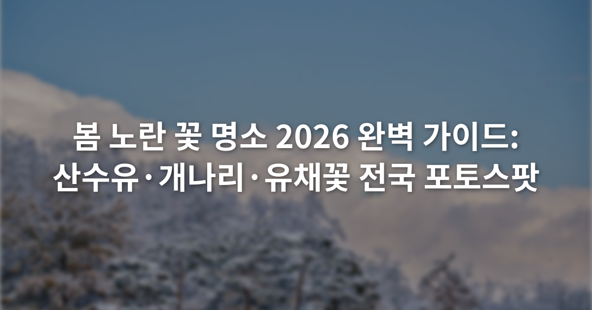봄 노란 꽃 명소 2026 완벽 가이드: 산수유·개나리·유채꽃 전국 포토스팟