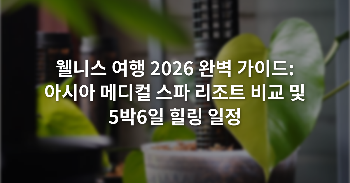 웰니스 여행 2026 완벽 가이드: 아시아 메디컬 스파 리조트 비교 및 5박6일 힐링 일정