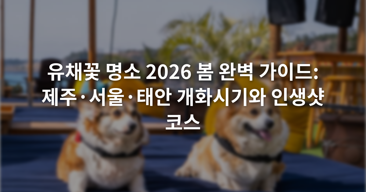 유채꽃 명소 2026 봄 완벽 가이드: 제주·서울·태안 개화시기와 인생샷 코스