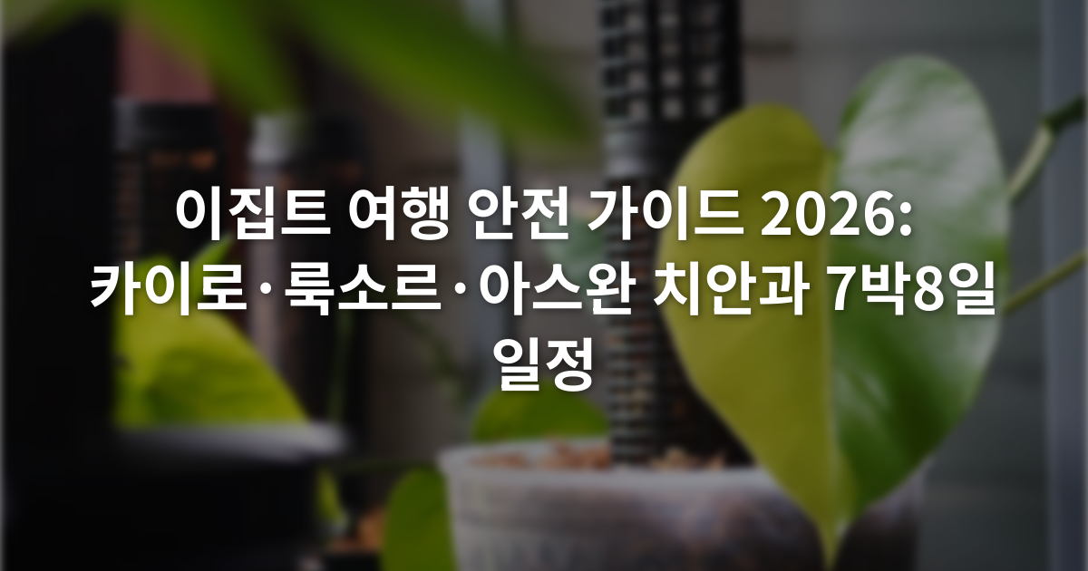 이집트 여행 안전 가이드 2026: 카이로·룩소르·아스완 치안과 7박8일 일정
