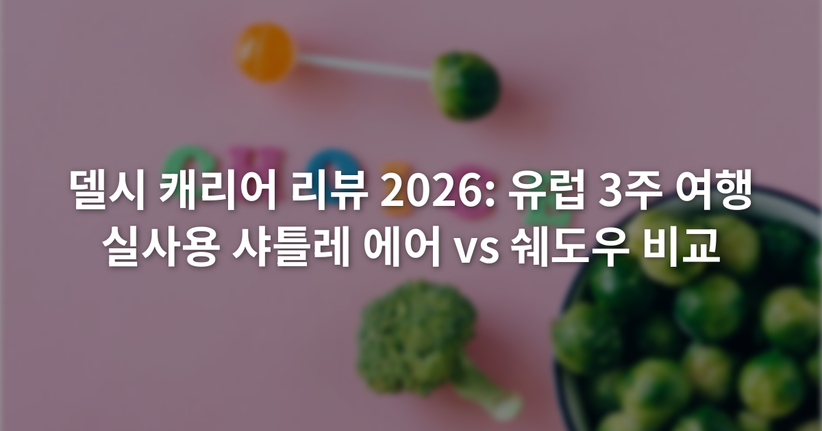 델시 캐리어 리뷰 2026: 유럽 3주 여행 실사용 샤틀레 에어 vs 쉐도우 비교