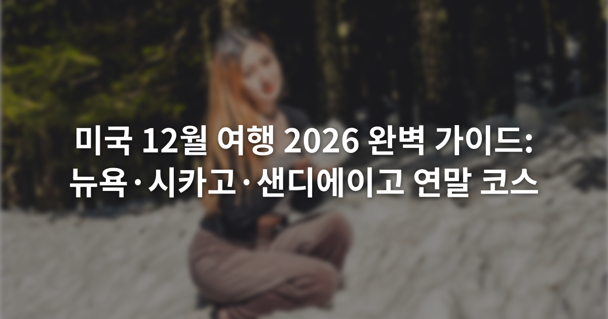 미국 12월 여행 2026 완벽 가이드: 뉴욕·시카고·샌디에이고 연말 코스