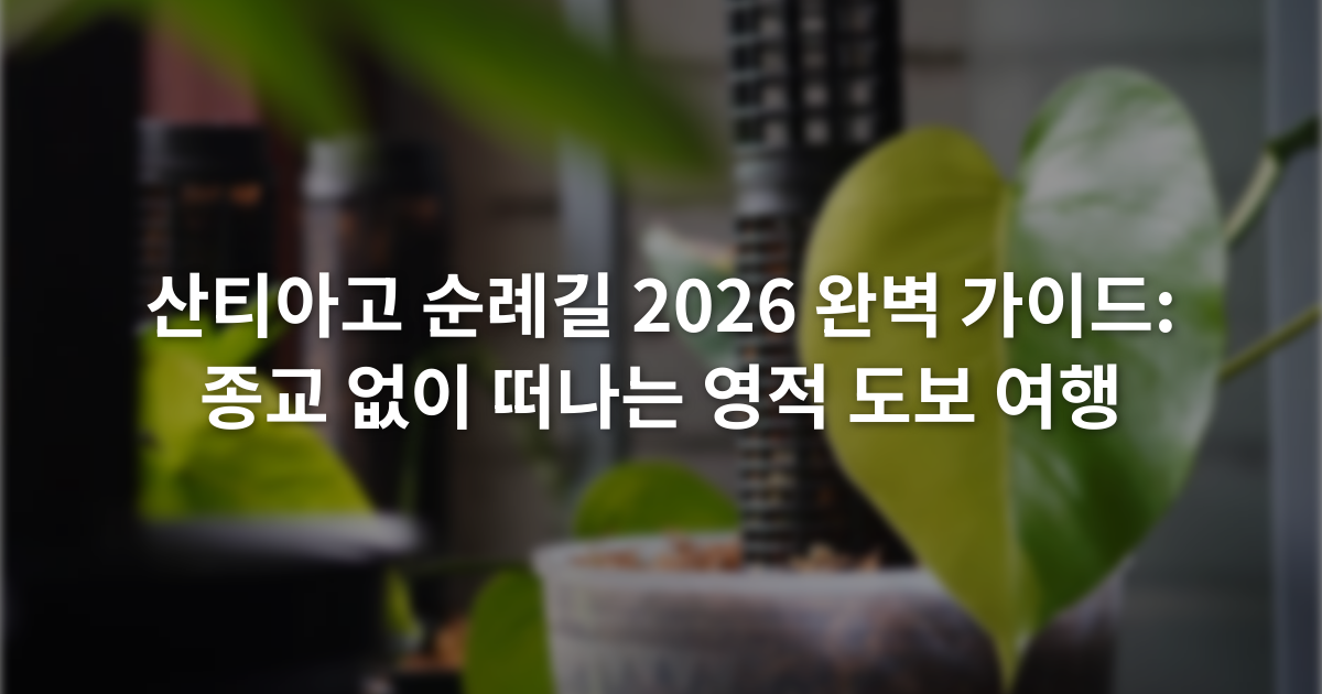 산티아고 순례길 2026 완벽 가이드: 종교 없이 떠나는 영적 도보 여행
