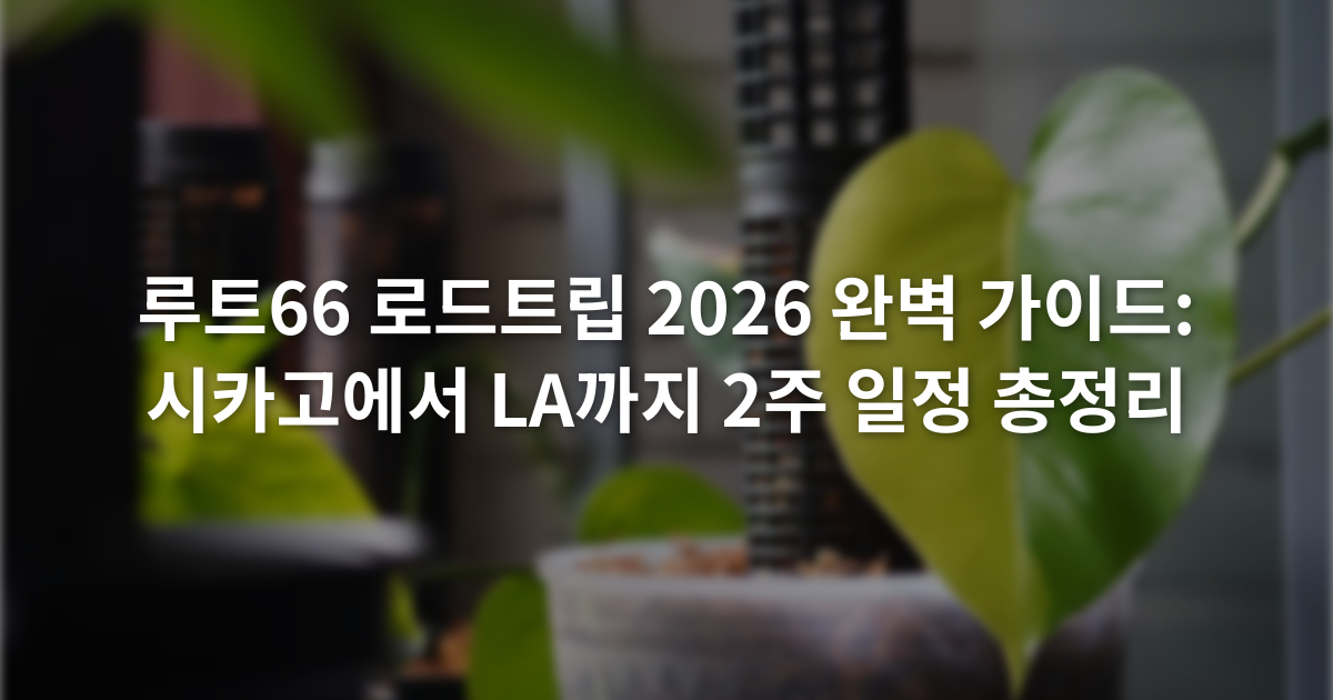 루트66 로드트립 2026 완벽 가이드: 시카고에서 LA까지 2주 일정 총정리