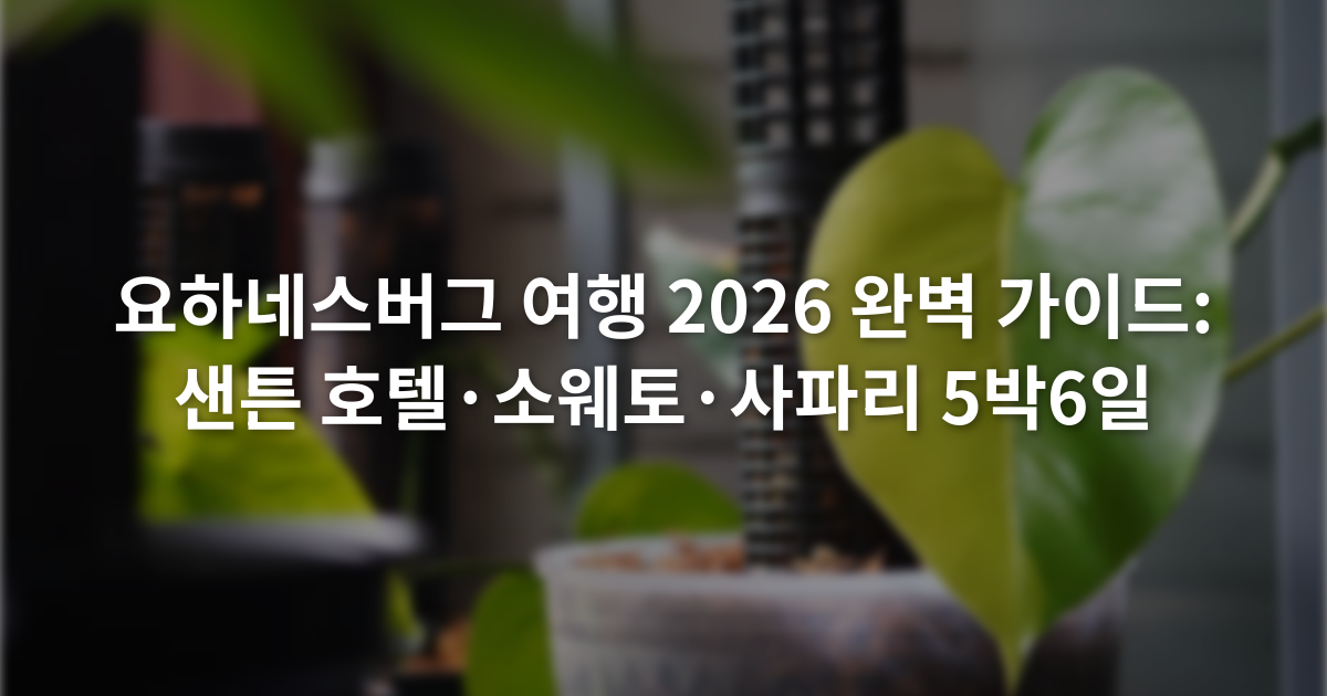 요하네스버그 여행 2026 완벽 가이드: 샌튼 호텔·소웨토·사파리 5박6일