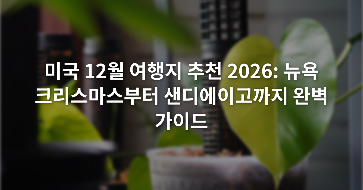 미국 12월 여행지 추천 2026: 뉴욕 크리스마스부터 샌디에이고까지 완벽 가이드