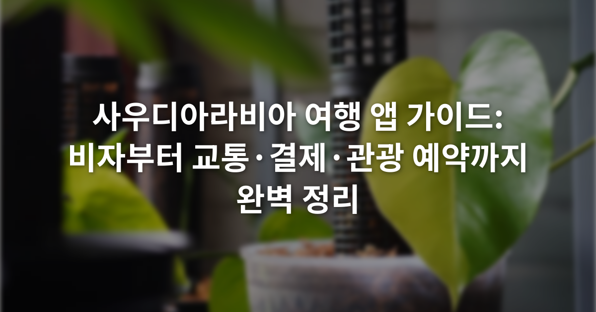 사우디아라비아 여행 앱 가이드: 비자부터 교통·결제·관광 예약까지 완벽 정리
