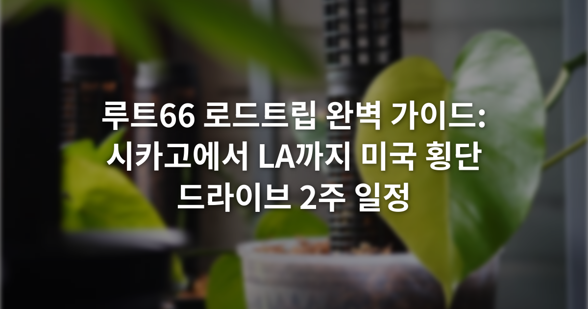 루트66 로드트립 완벽 가이드: 시카고에서 LA까지 미국 횡단 드라이브 2주 일정