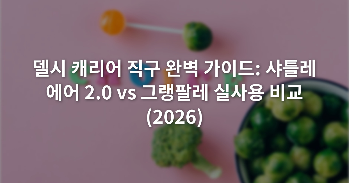 델시 캐리어 직구 완벽 가이드: 샤틀레 에어 2.0 vs 그랭팔레 실사용 비교 (2026)