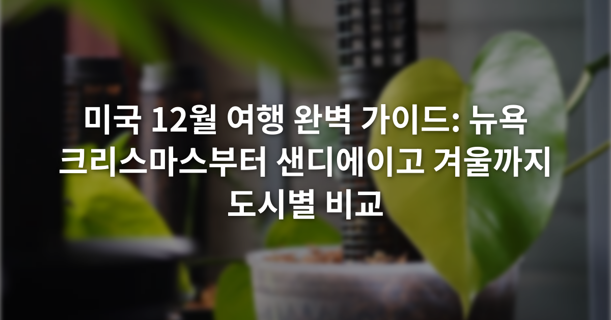 미국 12월 여행 완벽 가이드: 뉴욕 크리스마스부터 샌디에이고 겨울까지 도시별 비교