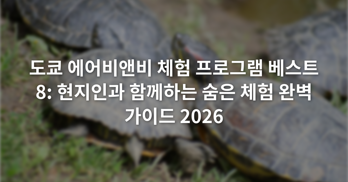도쿄 에어비앤비 체험 프로그램 베스트 8: 현지인과 함께하는 숨은 체험 완벽 가이드 2026