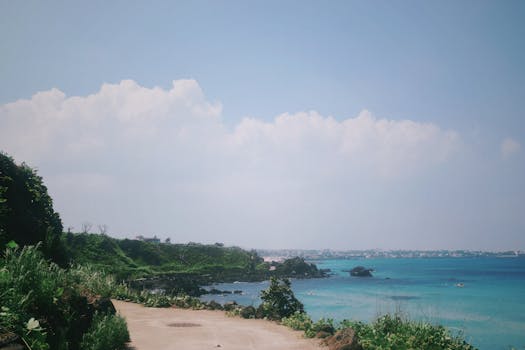 봄 노란 꽃 명소 제주 성산일출봉 유채꽃밭 풍경