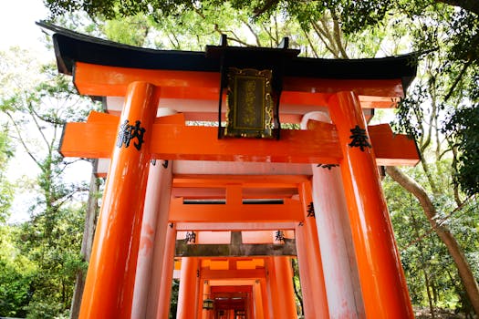 산티아고 순례길 완주 후 대성당 앞에서 콤포스텔라 증명서