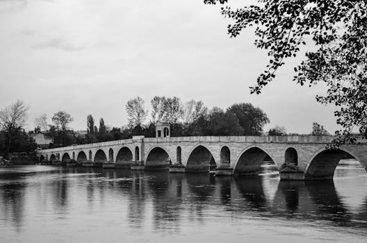 유럽 여행자보험 삼성화재 DB손보 메리츠 상품 비교표