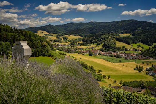 그라츠 근교 당일치기 슈타이어마르크 와인루트 호이리게 레스토랑