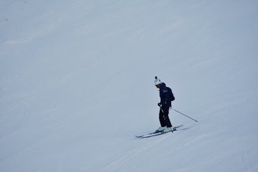 봄 스키 하이원리조트 정상에서 바라본 전망