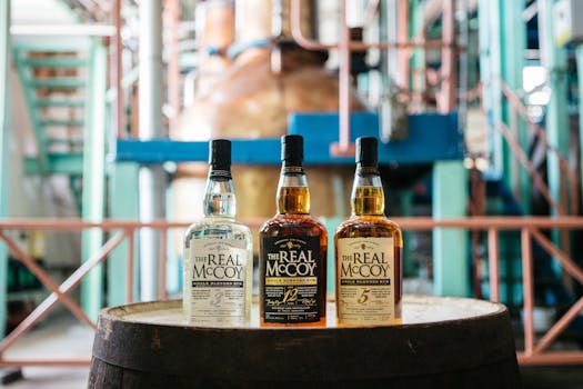 바베이도스 신혼여행 마운트게이 럼 증류소 시음 체험