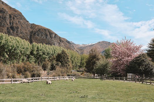 퀸스타운 여행 2026 완벽 가이드: 번지점프·스카이다이빙·밀포드사운드 체험 후기와 5박6일 일정 8 퀸스타운 여행 와카티푸 호수 석양 풍경