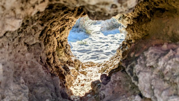 케코바 블루 크루즈 예약 사이트 화면 캡처