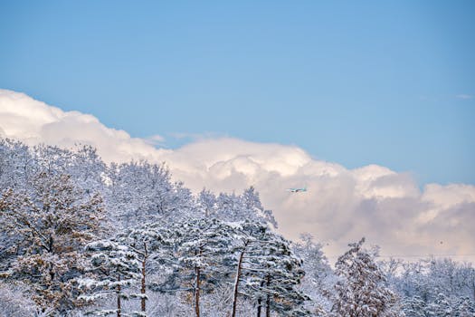 한국 벚꽃 축제 진해 경화역 철도와 벚꽃 터널