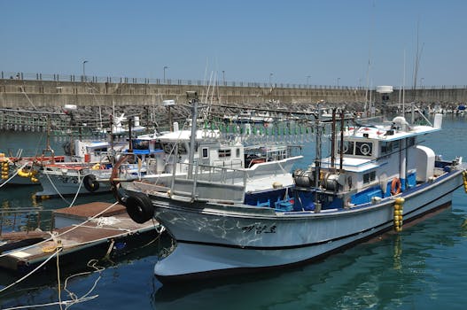 마요르카 요트 투어 팔마 항구 출발 전 전경