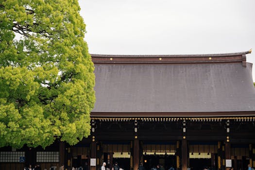 도쿄 에어비앤비 체험 메이지 신궁 새벽 참배 풍경