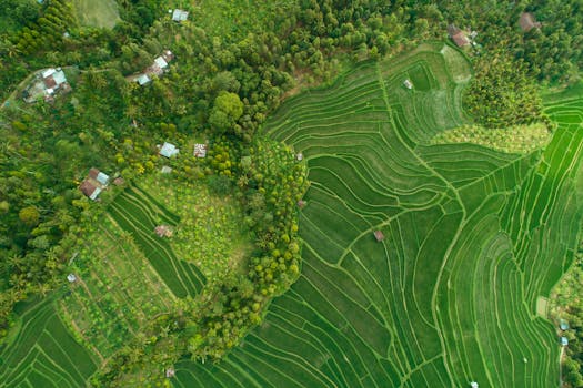 웰니스 여행 발리 우붓 논 테라스와 요가 파빌리온 전경