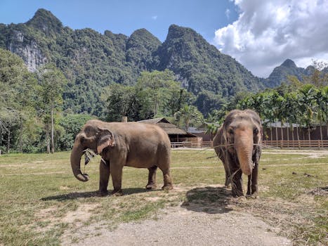 태국 골프 여행 완벽 가이드: 방콕·파타야·치앙마이 명문 골프장 10곳과 4박5일 패키지 추천 4 태국 골프 여행 사이암 컨트리클럽 파타야 전경
