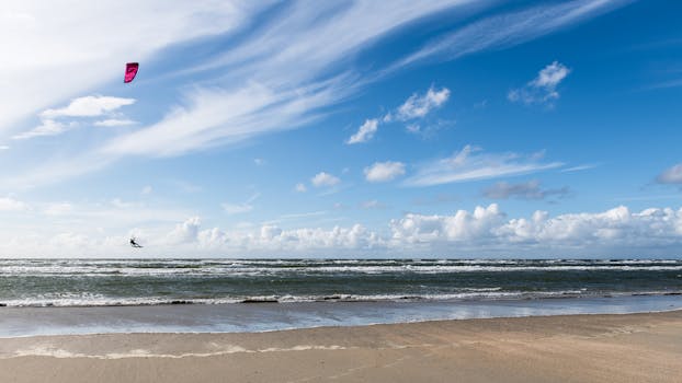 바베이도스 신혼여행 카리브해 해변 전경