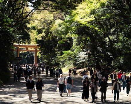 도쿄 에어비앤비 체험 메이지 신사 새벽 명상 프로그램