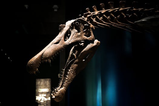 멜버른 박물관 공룡 화석 전시