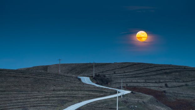 포트워스 카우보이 스톡야드 석양 풍경