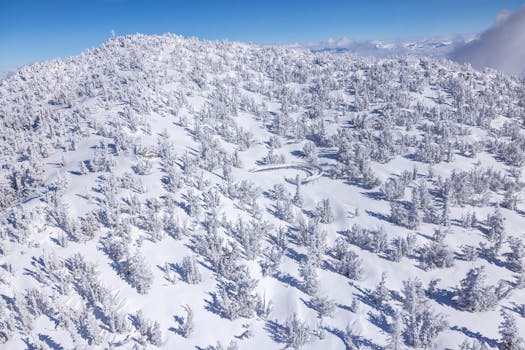 일본 로컬 스키장 가성비 여행법 2026: 리프트권 폭등 시대 현명한 선택 4 일본 로컬 스키장 아라이 리조트 전경