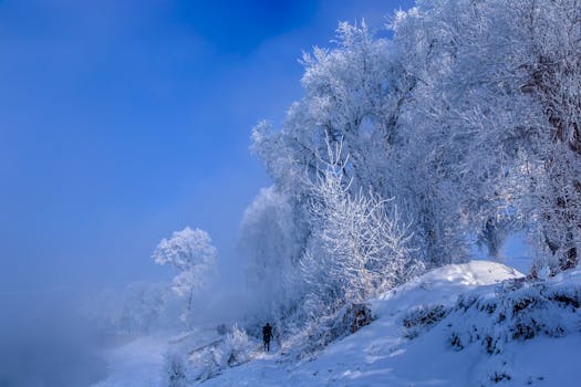 일본 로컬 스키장 가성비 여행법 2026: 리프트권 폭등 시대 현명한 선택 3 일본 로컬 스키장 묘코 스기노하라 파우더 슬로프