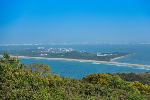 후쿠오카 벚꽃 여행 노코노시마 섬 유채꽃과 벚꽃 풍경