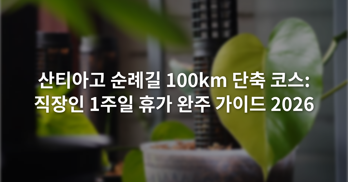 산티아고 순례길 100km 단축 코스: 직장인 1주일 휴가 완주 가이드 2026
