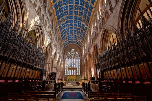 바베이도스 여행 Carlisle Bay 스노클링 바다거북