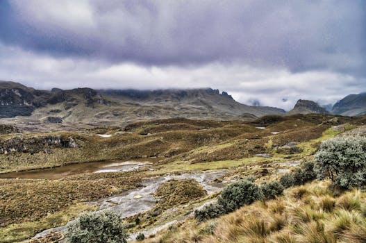 몬태나 글레이셔 국립공원 로건 패스 설경 하이킹
