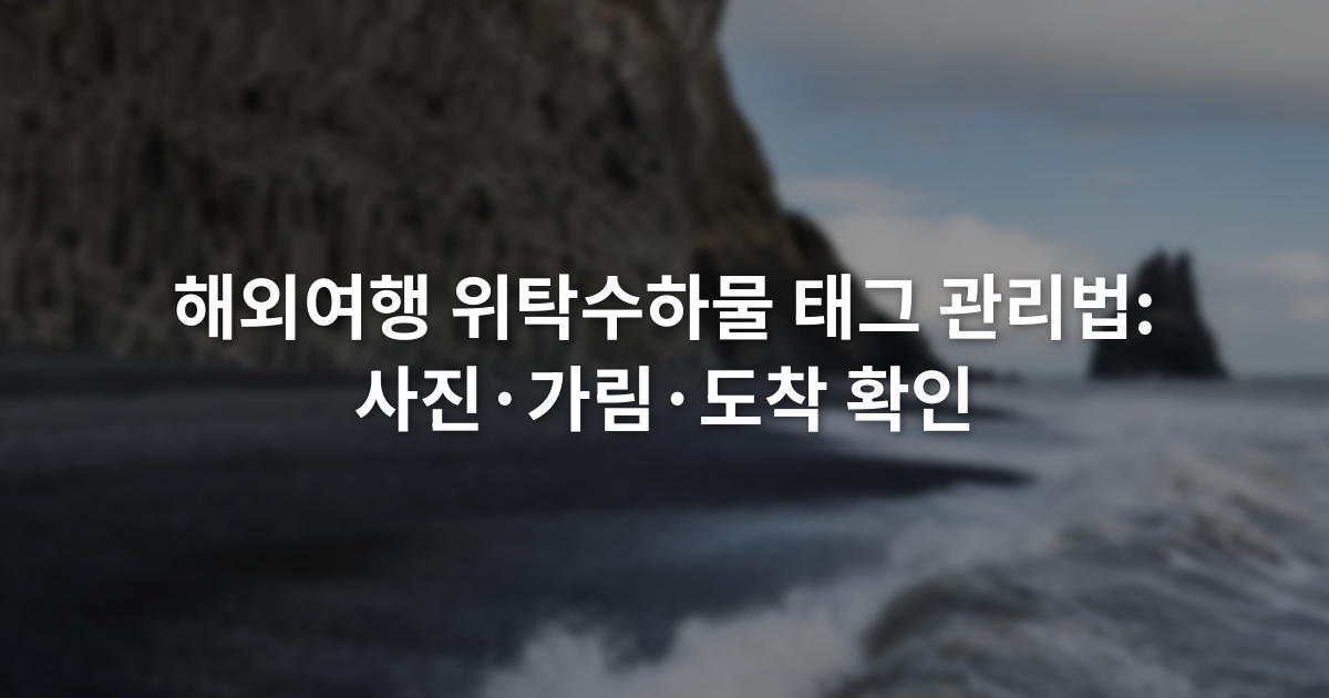 해외여행 위탁수하물 태그 관리법: 사진·가림·도착 확인