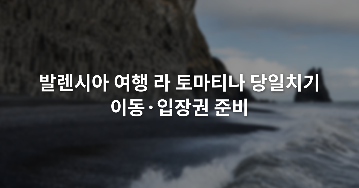 발렌시아 여행 라 토마티나 당일치기 이동·입장권 준비