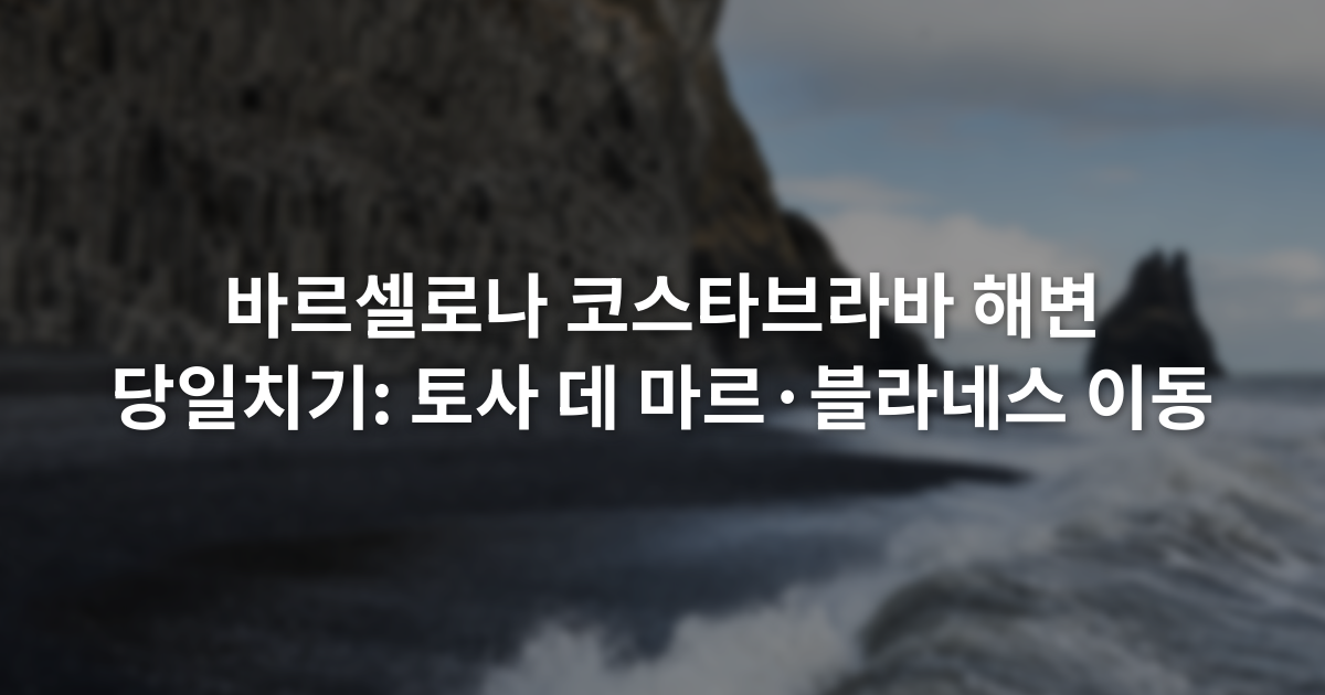 바르셀로나 코스타브라바 해변 당일치기: 토사 데 마르·블라네스 이동