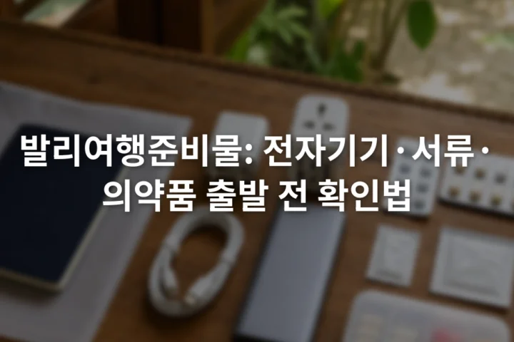 여권과 충전기, 보조배터리, 포장된 의약품을 세 구역으로 나누어 놓은 여행 준비 장면