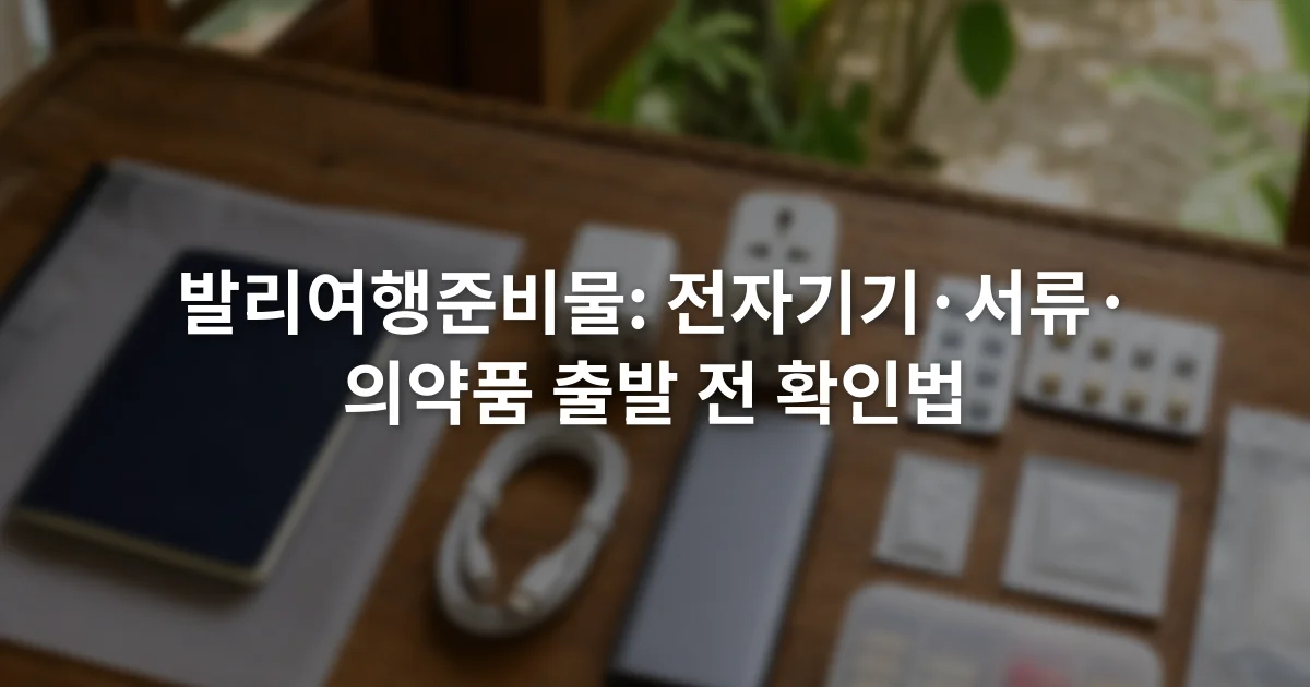 여권과 충전기, 보조배터리, 포장된 의약품을 세 구역으로 나누어 놓은 여행 준비 장면
