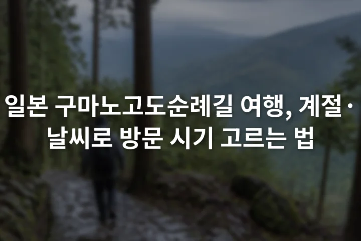 비에 젖은 돌길 옆 삼나무 숲을 걷는 순례자와 흐린 산 능선