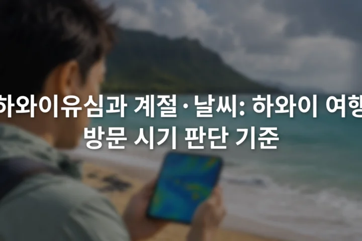 하와이 해변 옆에서 휴대전화로 비구름과 바람 예보 지도를 확인하는 여행자
