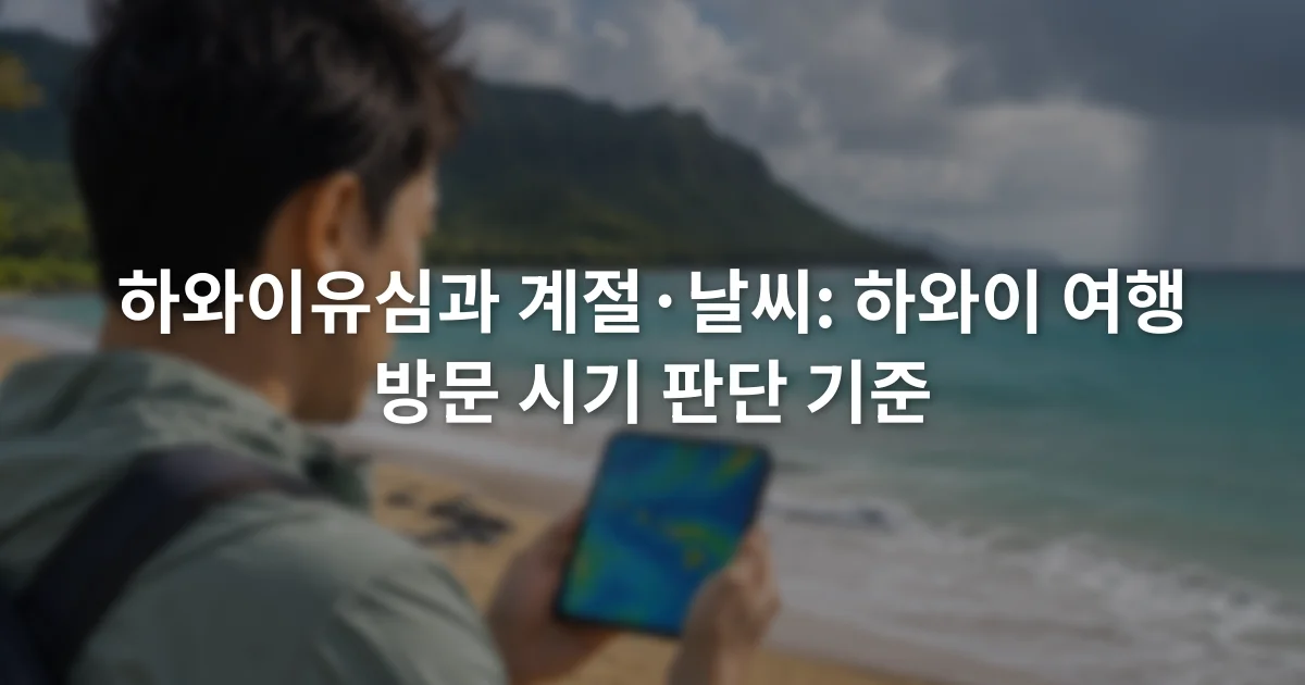 하와이 해변 옆에서 휴대전화로 비구름과 바람 예보 지도를 확인하는 여행자