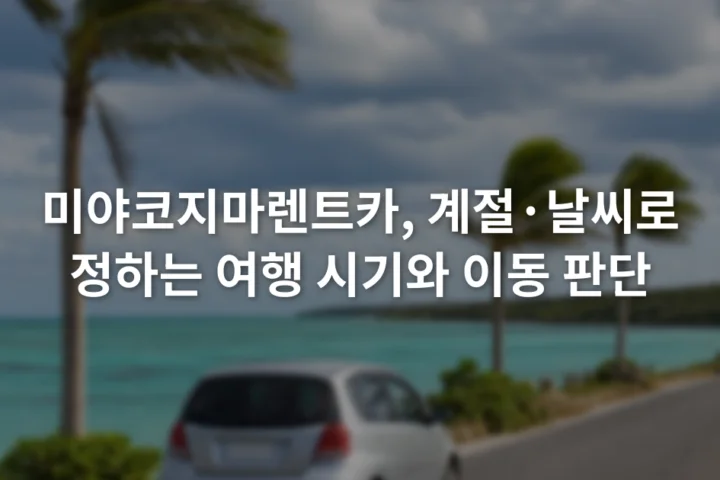 구름이 낀 미야코지마 해안도로를 달리는 소형 승용차와 바람에 흔들리는 야자수