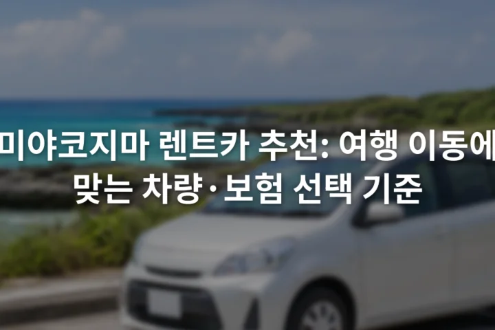 미야코지마 해안도로 옆 주차 구역에 세워진 소형 승용차와 바다 풍경