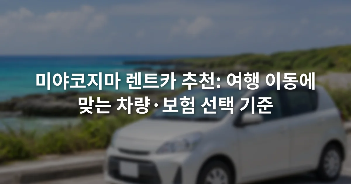 미야코지마 해안도로 옆 주차 구역에 세워진 소형 승용차와 바다 풍경