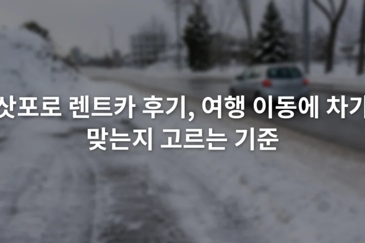 눈이 쌓인 삿포로 도로 옆 주차 구역과 운행 중인 승용차